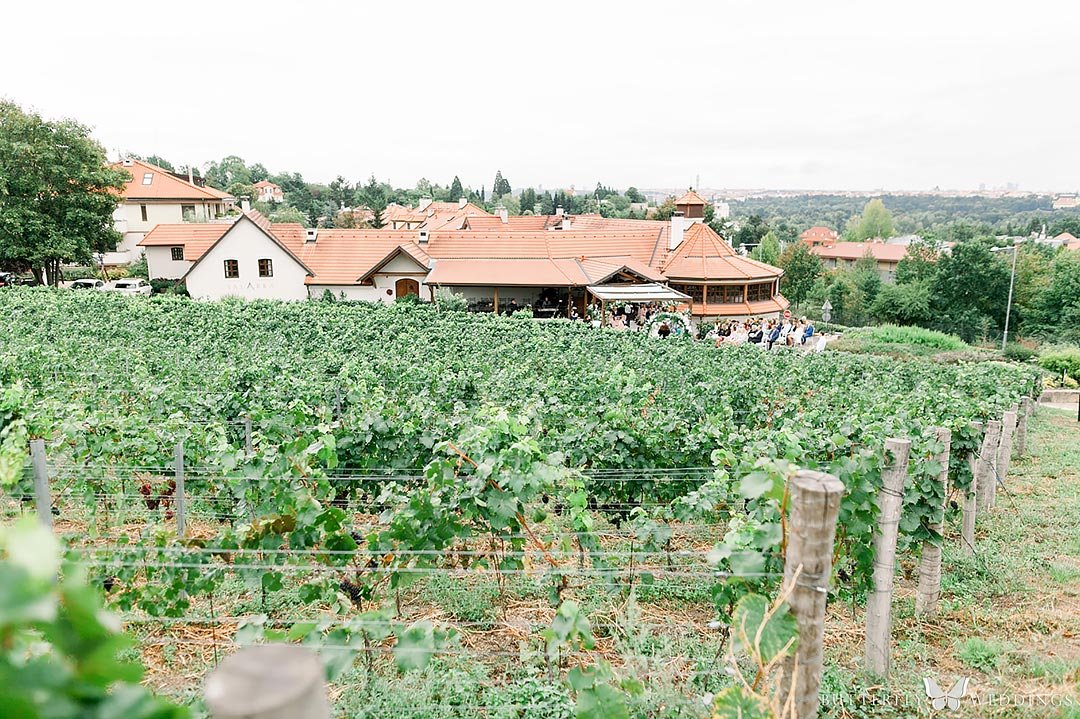 svatba ve vinařství Salabka
