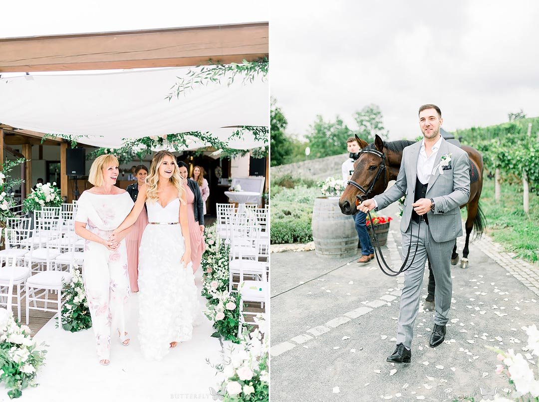 překvapení pro nevěstu, kůň pro nevěstu, kůň na svatbě